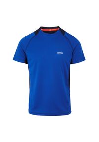 Regatta - T-shirt Męski Virda IV. Kolor: niebieski. Sport: turystyka piesza