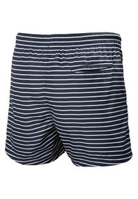 Spodnie do wody męskie Helly Hansen Newport. Kolor: wielokolorowy, niebieski. Materiał: materiał, syntetyk. Długość: krótkie