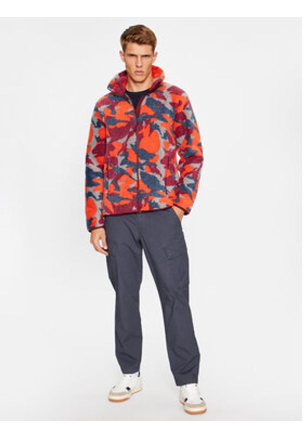 Helly Hansen Kurtka przejściowa Panorama Printed Pile 49512 Kolorowy Regular Fit. Materiał: syntetyk. Wzór: kolorowy