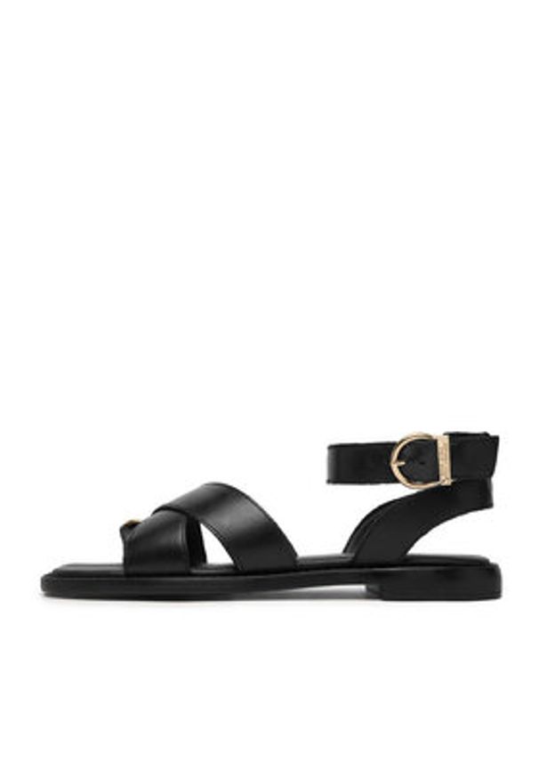 Beverly Hills Polo Club Sandały EO-WI16-ALYSHA-04 Czarny. Kolor: czarny. Materiał: skóra