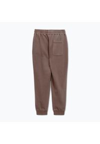 PITBULL - Spodnie męskie Pitbull Lancaster 2 Track Pants. Kolor: brązowy