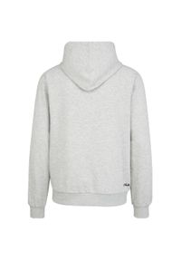 Fila Belfort Hoody, męska bluza. Typ kołnierza: kaptur. Kolor: szary, wielokolorowy. Materiał: wiskoza, poliester, bawełna