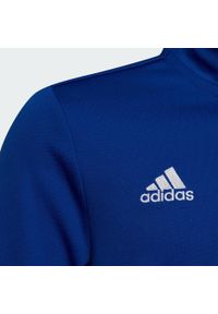 Adidas - Entrada 22 Training Top. Kolor: niebieski