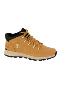 Buty trekkingowe męskie Timberland Euro Sprint Trekker. Kolor: brązowy. Sport: bieganie