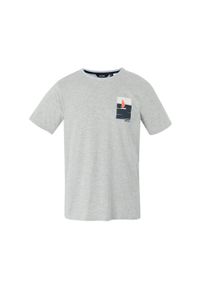 Koszulka Regatta Cline IX. Kolor: szary. Materiał: bawełna. Sport: turystyka piesza #1