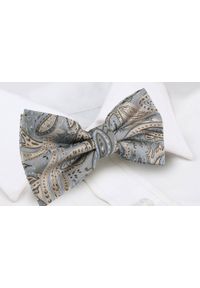 Mucha Męska w Zestawie z Poszetką - Alties - Popiel, Jasne Paisley. Wzór: paisley. Styl: elegancki, sportowy #4