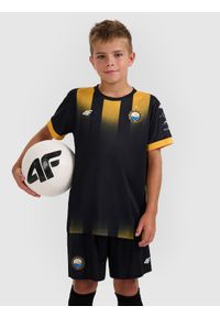 4f - 4F Trzecia koszulka klubowa z sezonu 2025/26 dziecięca 4F x Stal Mielec - czarna 146/152 (10-12 lat). Okazja: do domu. Kolor: czarny. Materiał: włókno, dzianina. Wzór: gradientowy. Sezon: lato. Styl: młodzieżowy