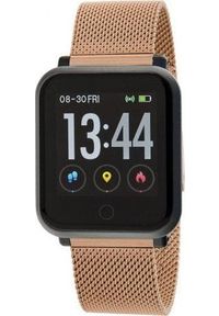 Smartwatch Marea B57002/6 Różowe złoto (B57002/6). Rodzaj zegarka: smartwatch. Kolor: różowy, wielokolorowy, złoty