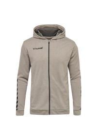 Bluza z kapturem dla dzieci Hummel zip hmlAUTHENTIC Poly. Typ kołnierza: kaptur. Kolor: szary