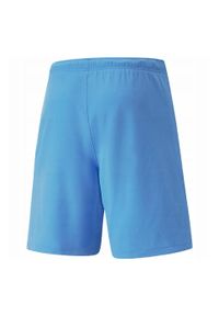 Puma - Męskie Spodenki TeamRISE. Kolor: niebieski. Sport: turystyka piesza