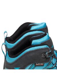 Alpina Trekkingi Alv Jr 630G-2 Szary. Kolor: szary. Materiał: materiał #4