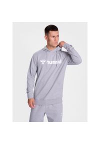 Bluza z kapturem Hummel Go 2.0 Logo. Typ kołnierza: kaptur. Kolor: szary. Materiał: materiał. Sport: fitness #1
