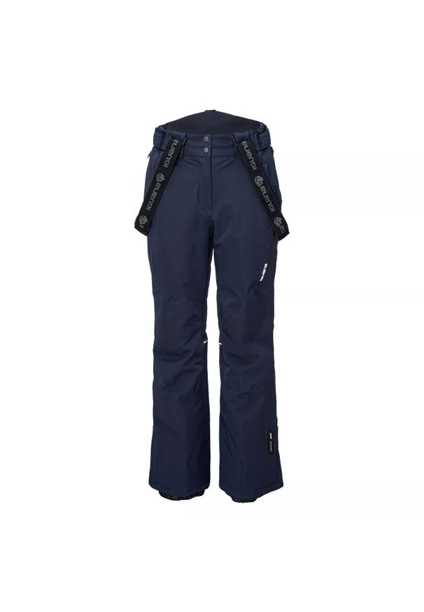 Spodnie narciarskie dla kobiet Iguana Boreta. Kolor: niebieski. Sezon: zima. Sport: narciarstwo
