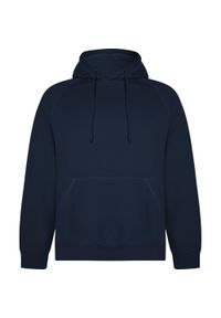 ROLY - Bluza Z Kapturem Dla Dorosłych Unisex Vinson. Typ kołnierza: kaptur. Kolor: niebieski