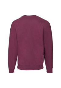 FRUIT OF THE LOOM - Klasyczna Bluza Raglanowa Unisex Dla Dorosłych. Kolor: czerwony, wielokolorowy, brązowy. Długość rękawa: raglanowy rękaw