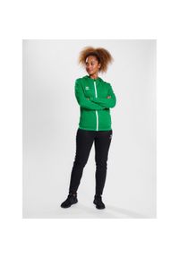 Bluza z kapturem sportowa Hummel Authentic Poly Zip Hoodie. Typ kołnierza: kaptur. Kolor: zielony