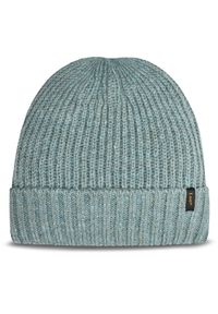 Lee Czapka 112358903 Zielony. Kolor: zielony. Materiał: poliamid, nylon #1