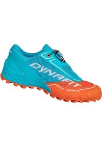 Buty damskie Dynafit Feline Sl W do biegania. Kolor: niebieski. Materiał: tkanina
