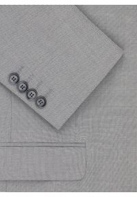 Pako Lorente - PAKO LORENTE - Szara marynarka garniturowa. Kolor: szary. Materiał: poliester, wiskoza, elastan. Styl: młodzieżowy #2