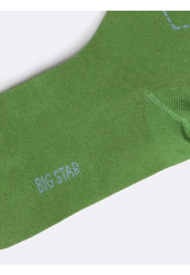 Big-Star - Skarpety męskie długie w romby zielone Stefanosi 301. Kolor: zielony. Materiał: bawełna