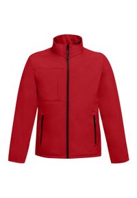 Regatta - Męski Softshell Octagon II. Kolor: czerwony, wielokolorowy, czarny. Materiał: softshell. Sport: turystyka piesza