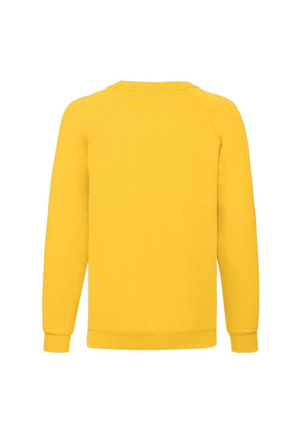 FRUIT OF THE LOOM - Bluza Dziecięca Classic Raglan. Kolor: żółty, pomarańczowy, wielokolorowy. Długość rękawa: raglanowy rękaw