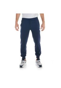 LEONE 1947 APPAREL - Męskie spodnie sportowe z małym logo. Kolor: niebieski. Materiał: tkanina. Sport: fitness
