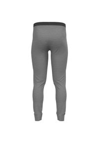 Legginsy termoaktywne męskie Odlo MERINO 200. Kolor: szary