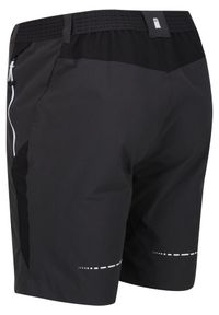 Regatta - Spodenki Mountain Shorts II. Kolor: szary. Materiał: poliamid, elastan
