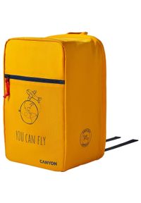 CANYON - Canyon CSZ-03 żółty. Kolor: żółty. Wzór: paski. Styl: elegancki