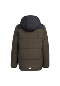 Adidas - Kurtka dziecięca adidas Padded Winter. Kolor: zielony