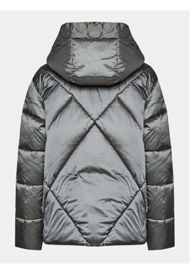 Blauer Kurtka puchowa 23WBLDC02037 Szary Regular Fit. Kolor: szary. Materiał: puch, syntetyk