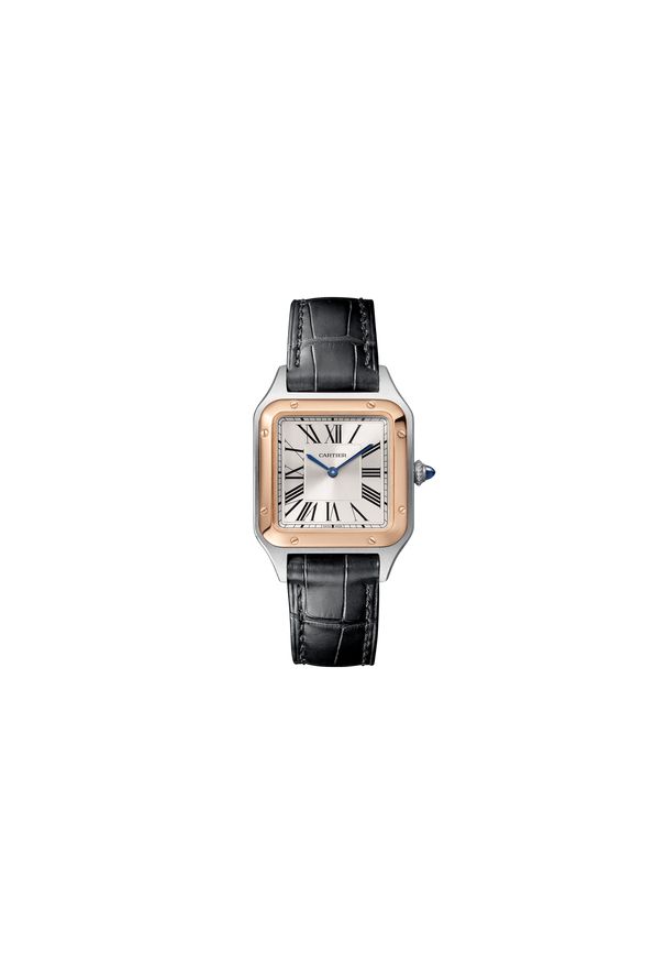 Cartier - CARTIER ZEGAREK Santos-Dumont W2SA0012. Materiał: koronka, skóra, syntetyk. Styl: klasyczny, casual