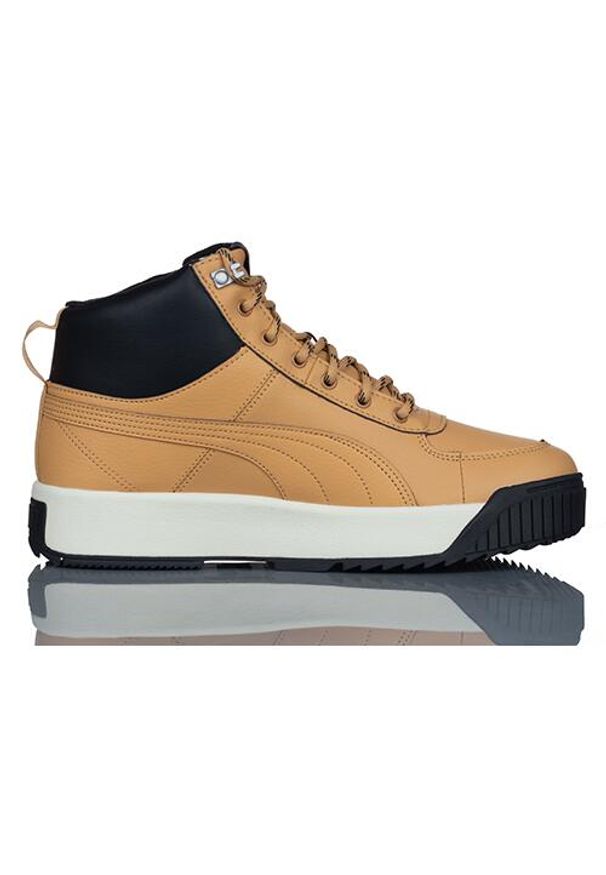 Buty Sportowe Męskie Puma Tarrenz Sb Puretex. Kolor: brązowy