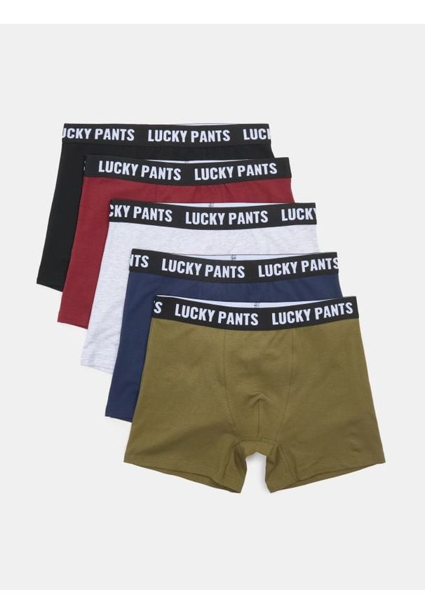 Sinsay - Bawełniane bokserki long 5 pack - wielobarwny. Materiał: bawełna