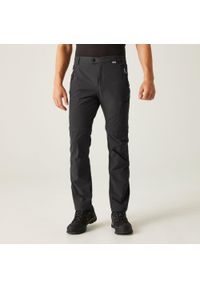 Regatta - Męskie spodnie trekkingowe z odpinanymi nogawkami Highton Zip Off. Kolor: szary. Materiał: poliamid, elastan. Długość: długie. Sezon: lato. Sport: turystyka piesza #1