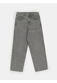 Sinsay - Jeansy baggy z efektem sprania - szary. Kolor: szary #1