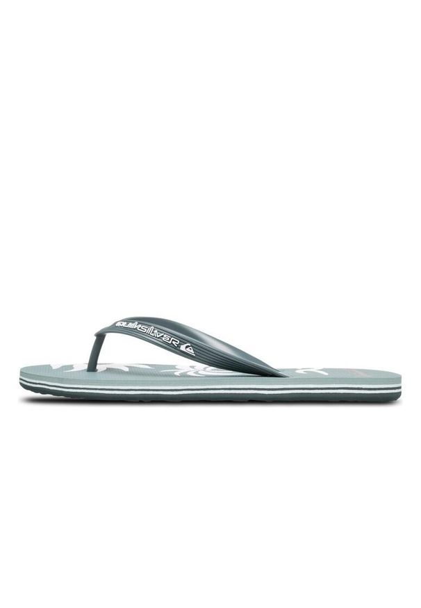 Quiksilver - Klapki dla Mężczyzn MOLOKAI SCREEN. Okazja: na plażę. Kolor: zielony. Materiał: guma, syntetyk. Styl: sportowy