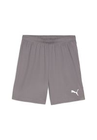 Szorty Puma TeamGloal. Kolor: szary. Materiał: materiał. Sport: piłka nożna