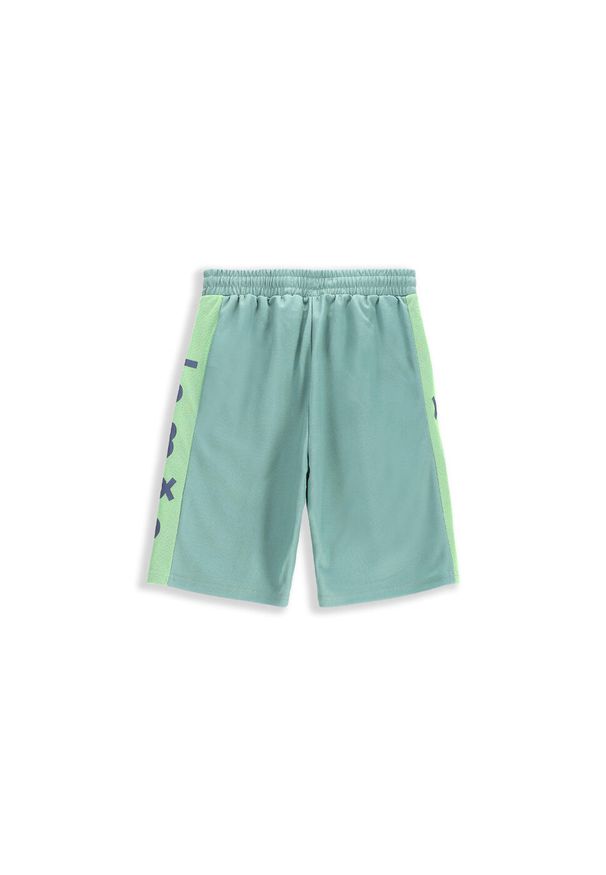 Spodenki sportowe dla dzieci Lemon Explore WL5. Kolor: zielony. Materiał: poliester, elastan. Styl: sportowy