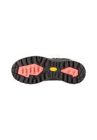 ALPINE PRO - Buty trekkingowe Alpine Pro Erahe skórzane Vibram. Kolor: brązowy. Materiał: skóra