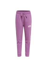 Spodnie dresowe dla dzieci Hummel Fast. Kolor: fioletowy. Materiał: dresówka. Sport: joga i pilates