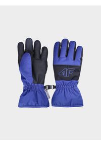 4f - Rękawice narciarskie Thinsulate chłopięce - niebieskie. Kolor: niebieski. Materiał: syntetyk, materiał. Technologia: Thinsulate. Sport: narciarstwo