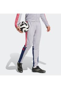 Adidas - Spodnie piłkarskie ADIDAS Squadra 25 treningowe. Kolor: niebieski, szary, wielokolorowy. Sport: piłka nożna