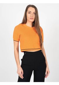 Pinko Sweter "Somiedo" | 1G16Y7 Y7ZA | Somiedo | Kobieta | Pomarańczowy. Kolor: pomarańczowy. Materiał: bawełna, wiskoza, poliamid. Długość rękawa: krótki rękaw. Długość: krótkie. Wzór: ze splotem, aplikacja #3