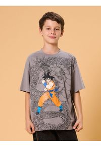 Sinsay - Koszulka Dragon Ball - szary. Kolor: szary #1