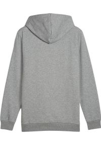 Bluza męska Puma Ess Logo LAB Gradient Hoodie FL. Kolor: szary. Wzór: gradientowy #2