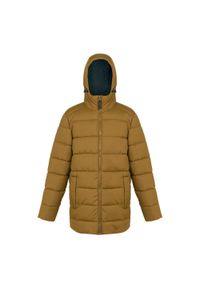 Regatta - Męska Kurtka Ocieplana Lakiver. Kolor: niebieski, wielokolorowy, brązowy. Materiał: puch. Sport: turystyka piesza #1