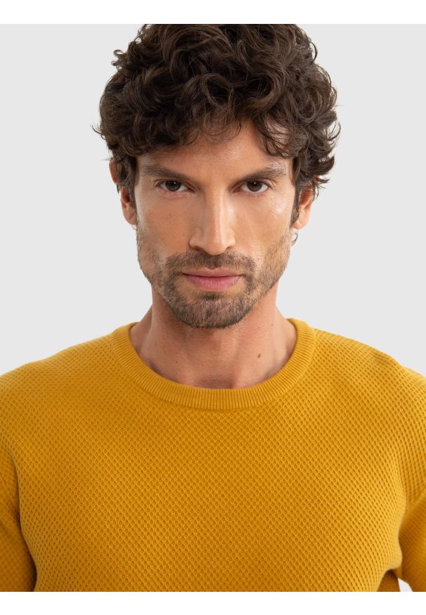 Big-Star - Sweter męski bawełniany klasyczny żółty Reyli 202. Kolor: żółty. Materiał: bawełna. Sezon: zima, jesień. Styl: klasyczny