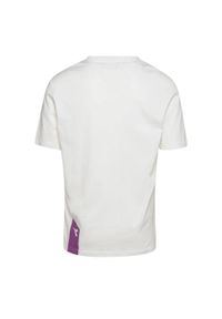 Diadora - Koszulka męska DIADORA T-SHIRT SS ICON. Kolor: biały